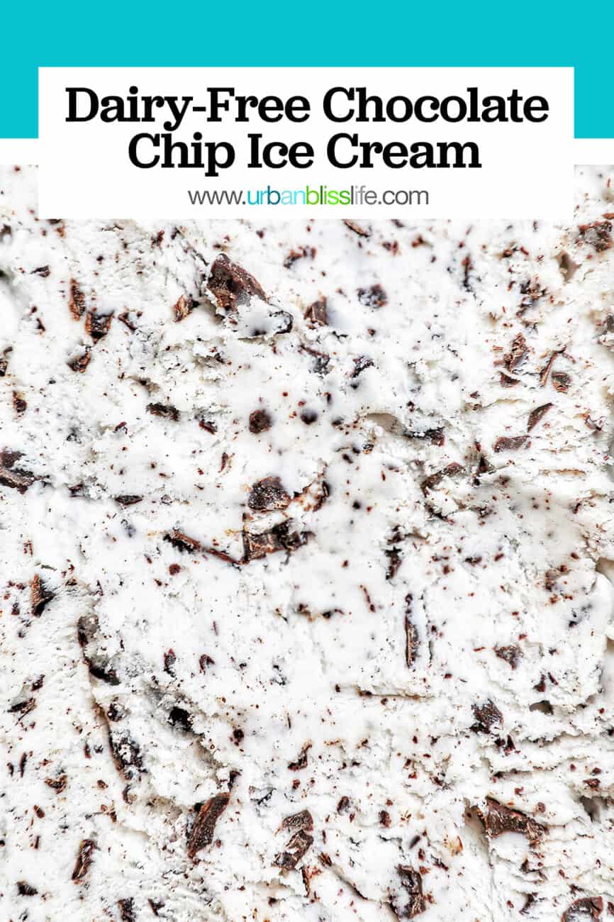 dairy-free chocolate chip ice cream with text