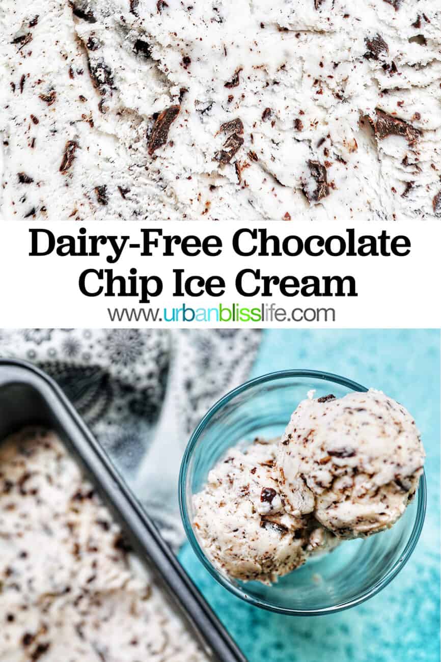 dairy-free chocolate chip ice cream with text