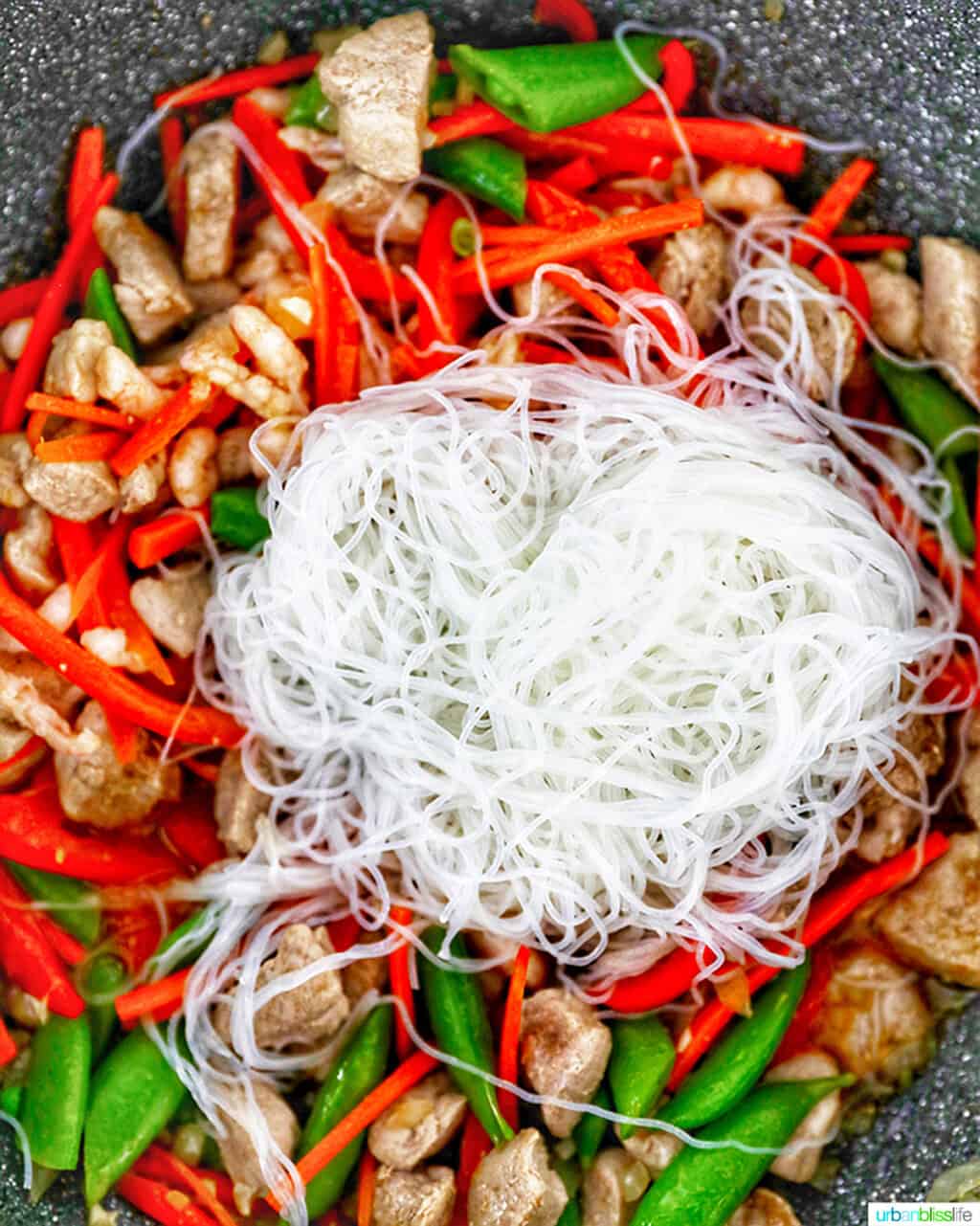 noodles and Filipino Pancit Bihon