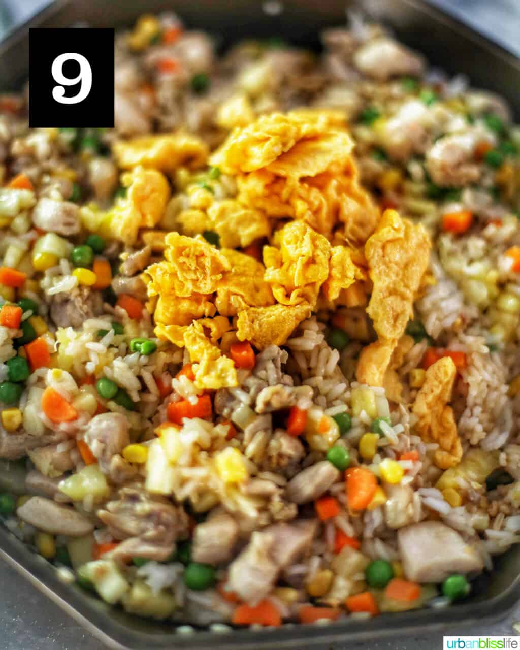 eggs on top of fried rice