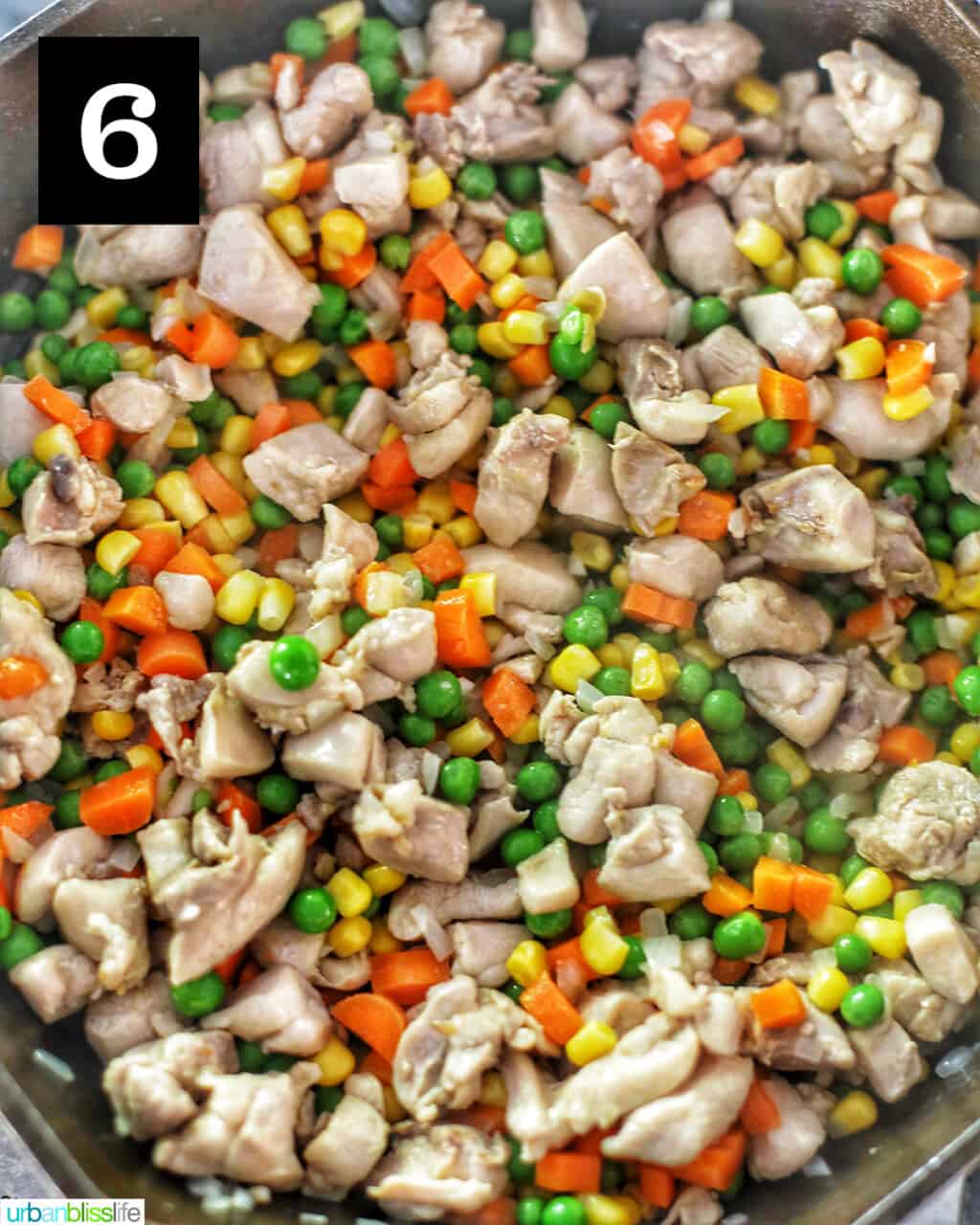 fried rice meat and veggies