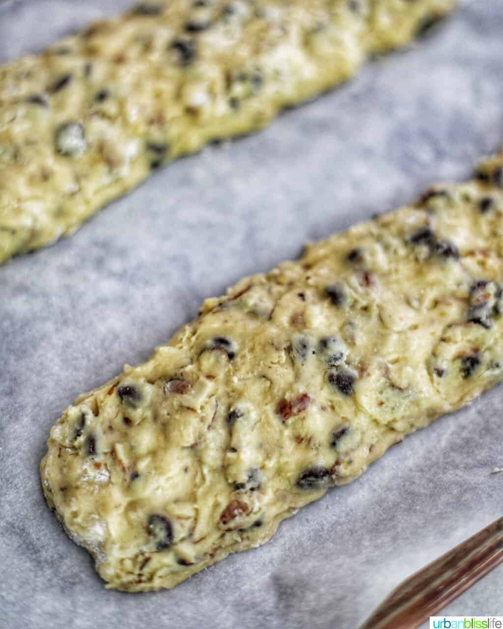 two dough logs for making chocolate chip almond biscotti