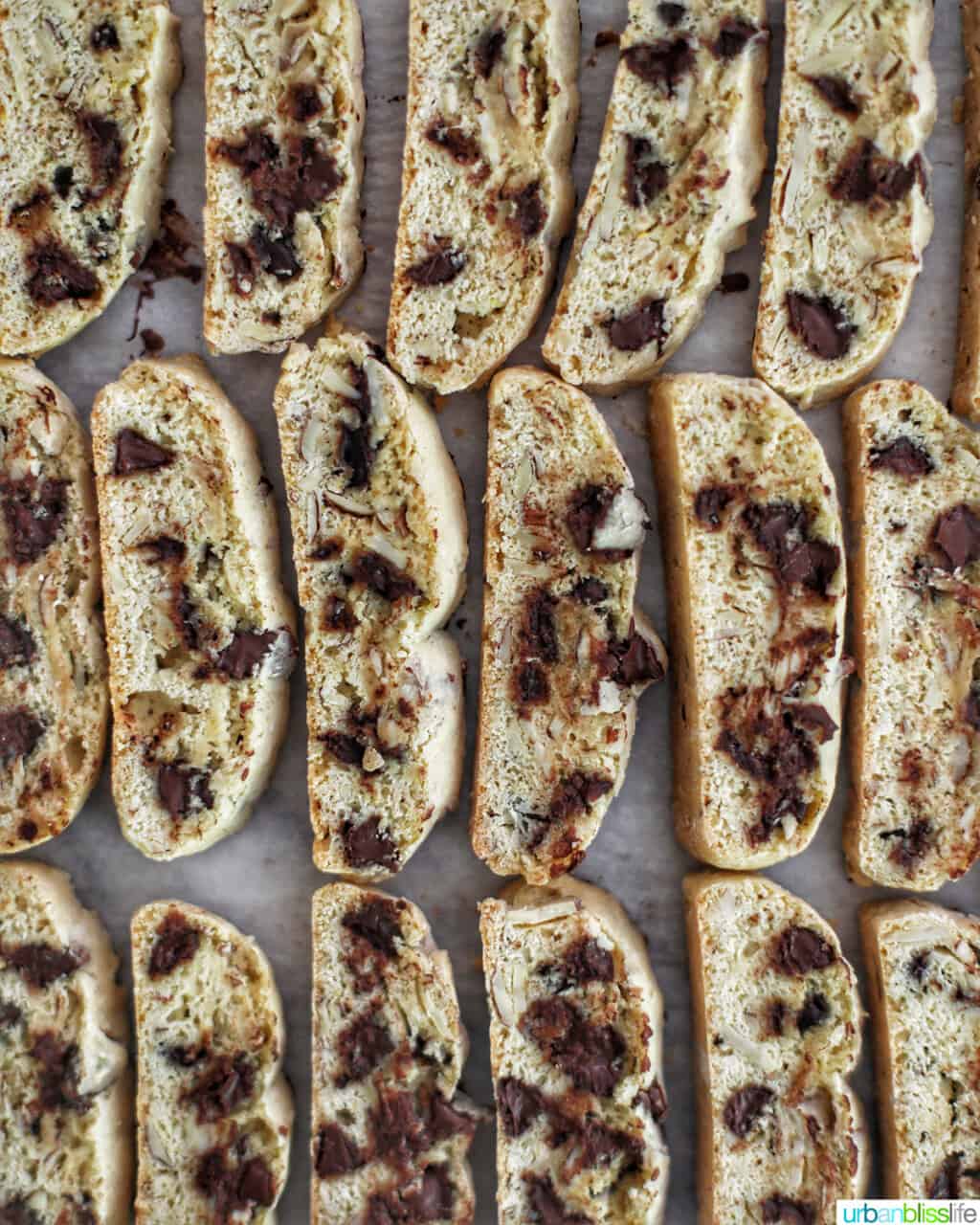 chocolate chip almond biscotti