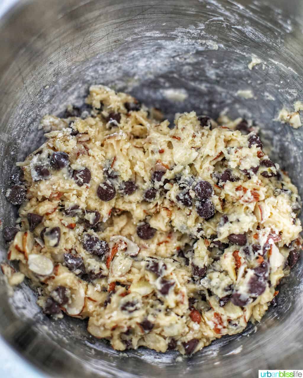 chocolate chip almond biscotti dough