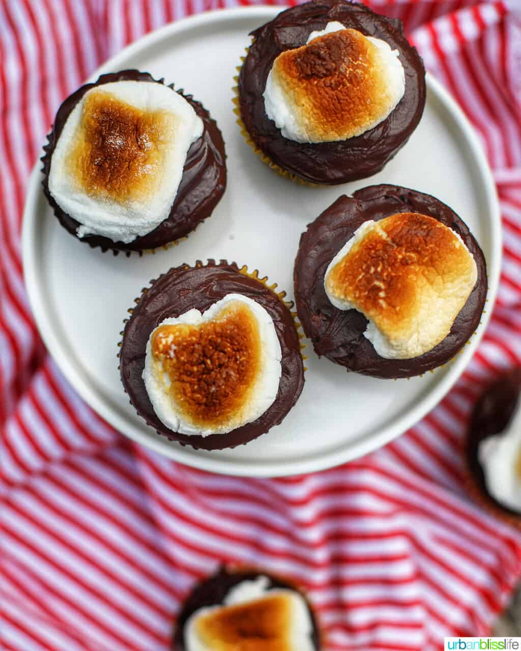 s'mores cupcakes