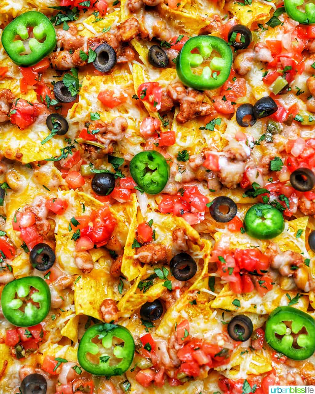 tex mex nachos