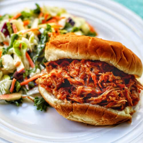 pulled pork sandwich on a white plate with salad
