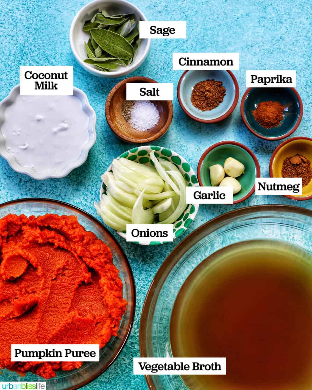 vegan pumpkin soup ingredients
