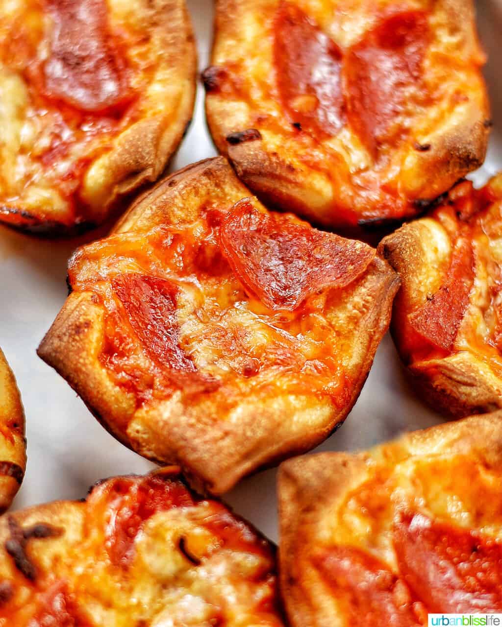 pizza cups