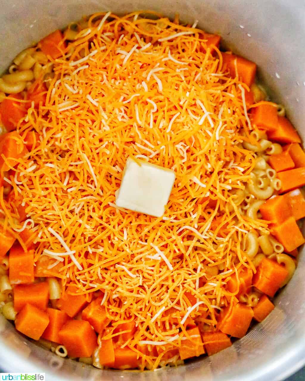 pressure cooker butternut squash mac and cheese