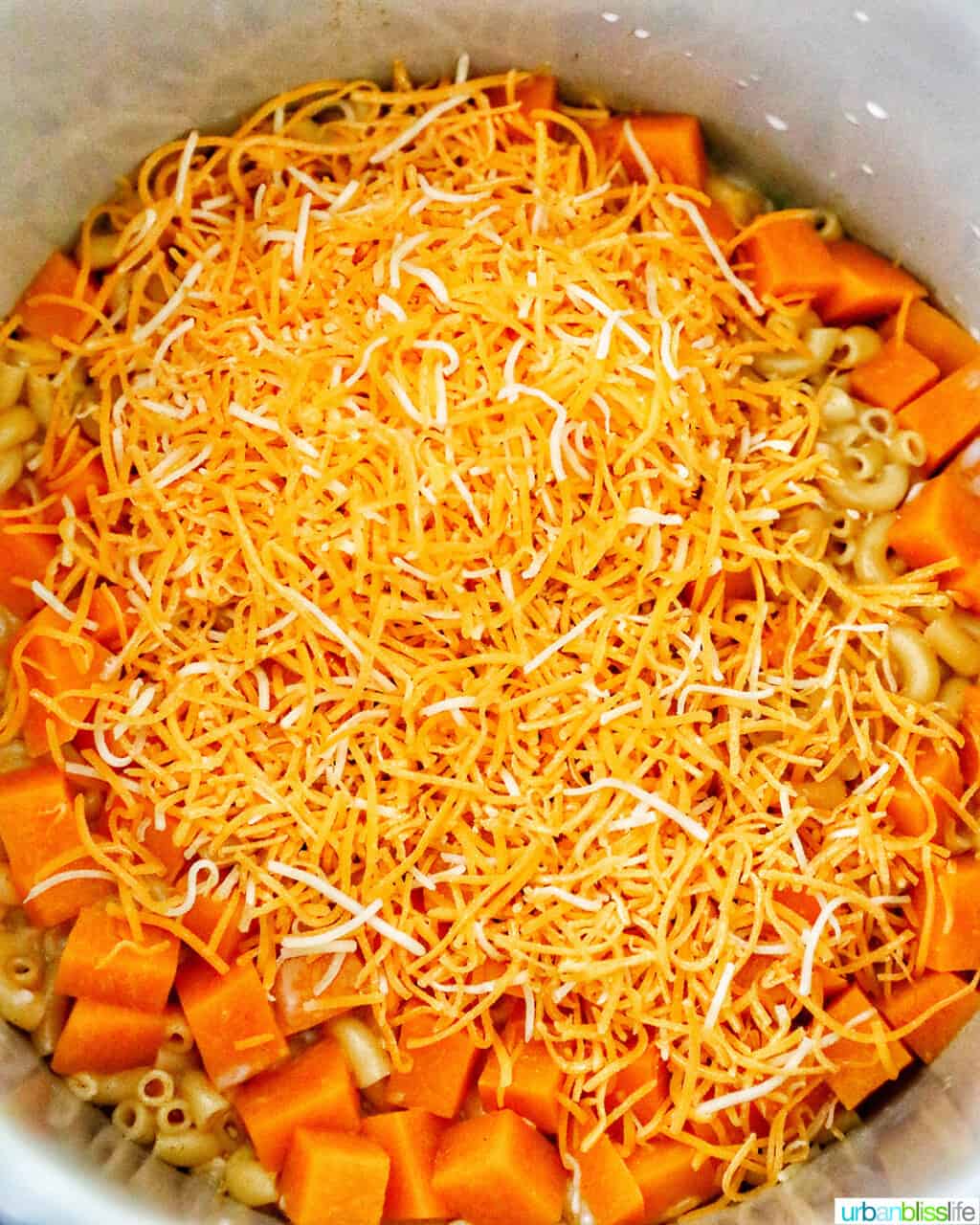 pressure cooker butternut squash mac and cheese