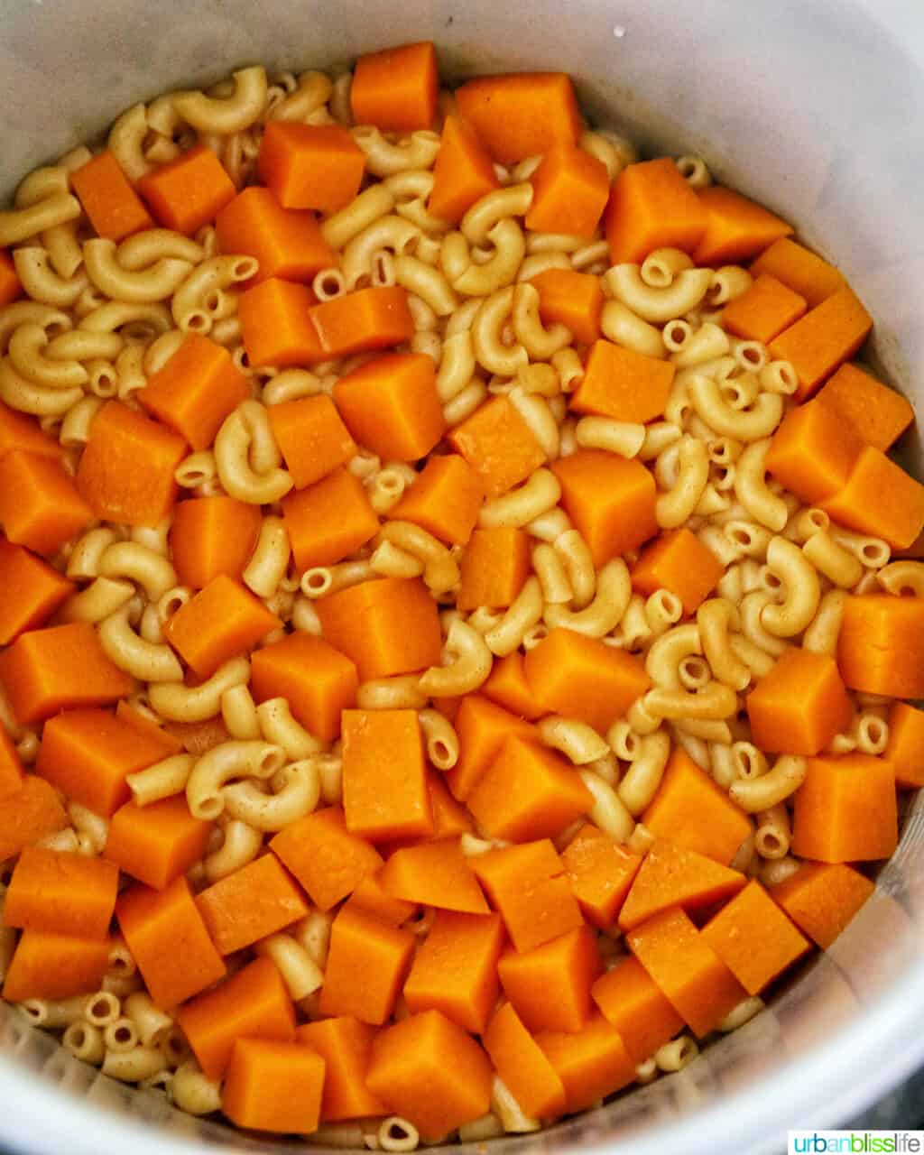pressure cooker butternut squash mac and cheese