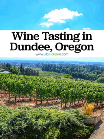 Beautiful vineyard view from Dusky Goose Winery with title text that reads "Wine Tasting in Dundee, Oregon."