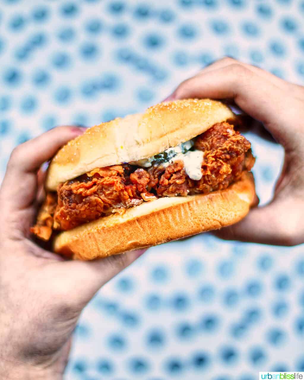 fried chicken sandwich