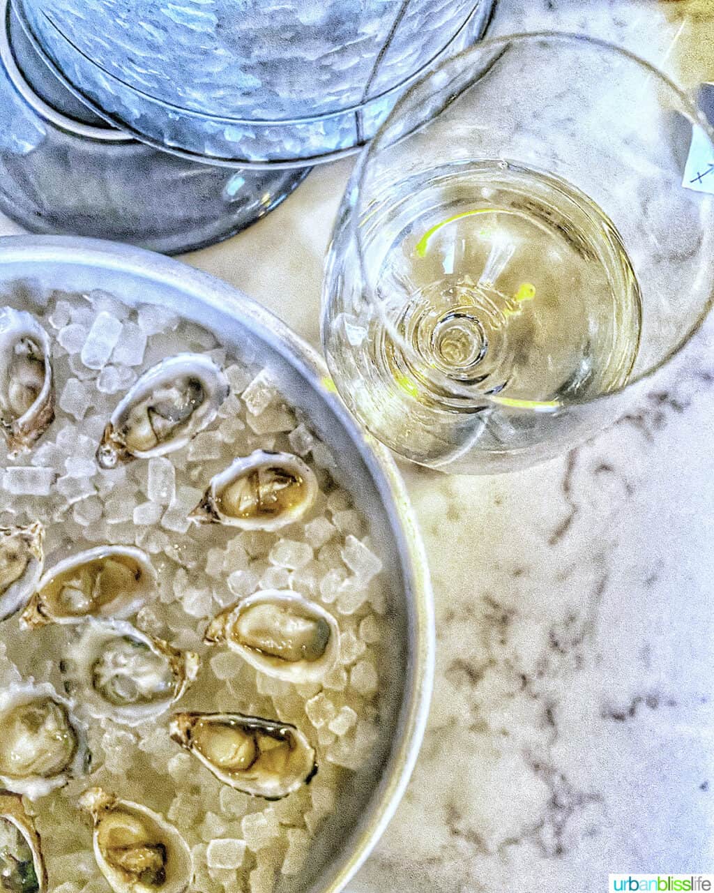 oysters and glass of white wine.