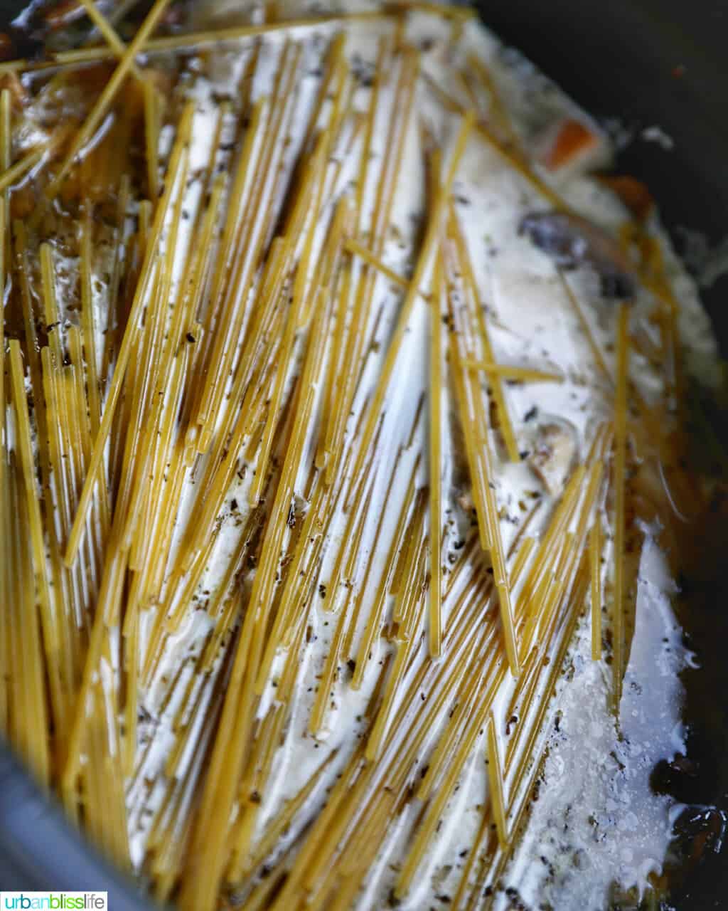 spaghetti in crockpot for Turkey Tetrazzini