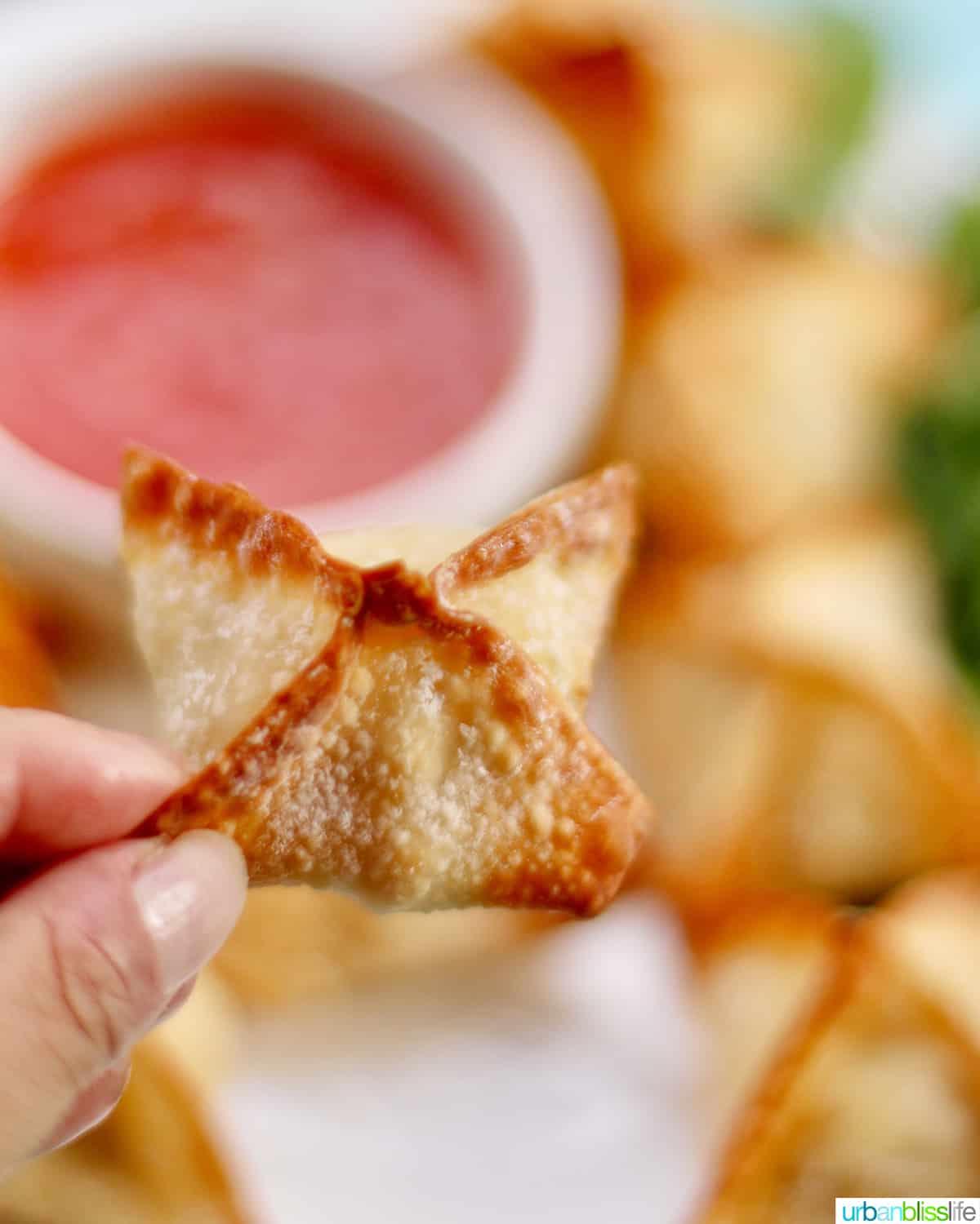 single cooked air fryer crab rangoon