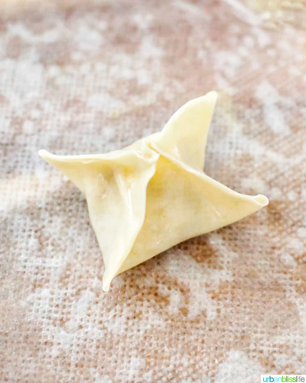 single shaped air fryer crab rangoon