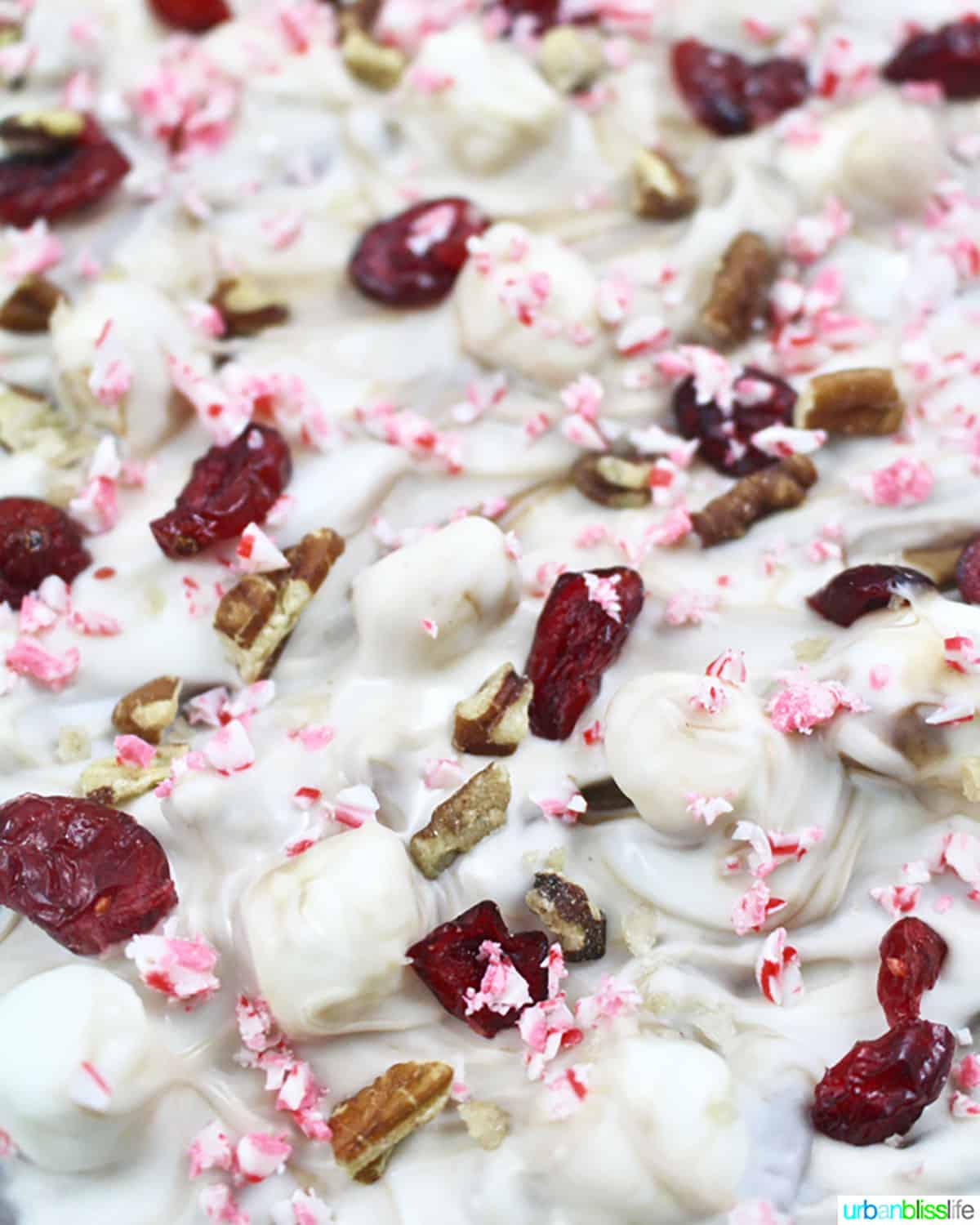 white chocolate cranberry bark with peppermint, cranberries, pecans, and marshmallows.