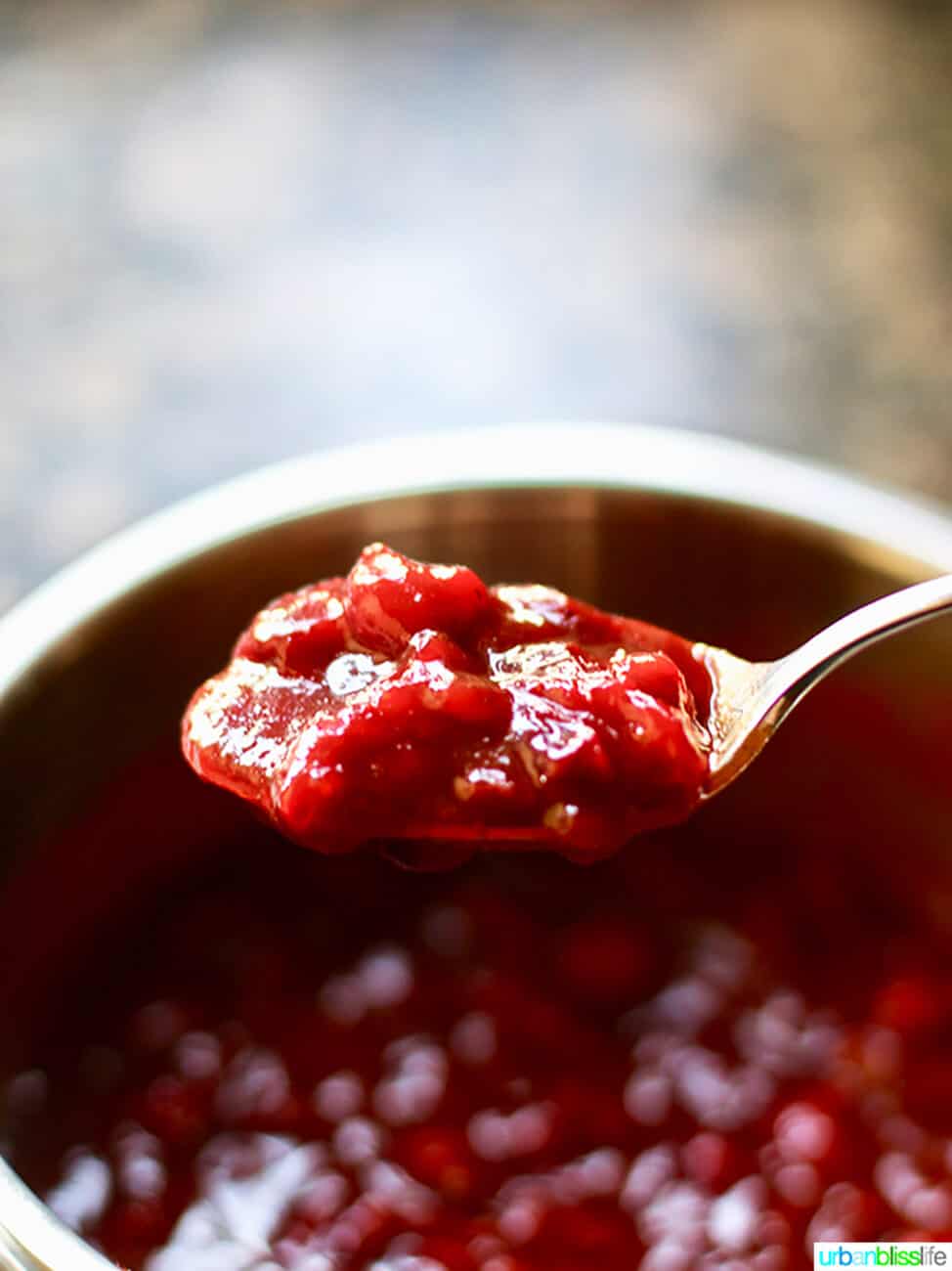 cranberry sauce on a spoon