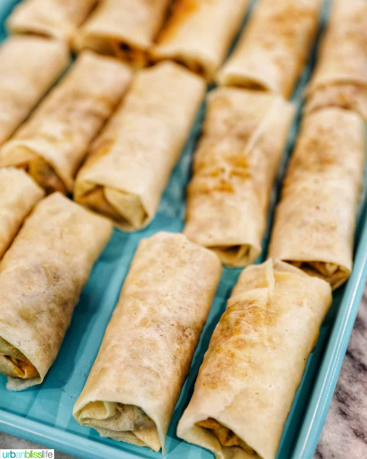 homemade Filipino lumpia ready to fry