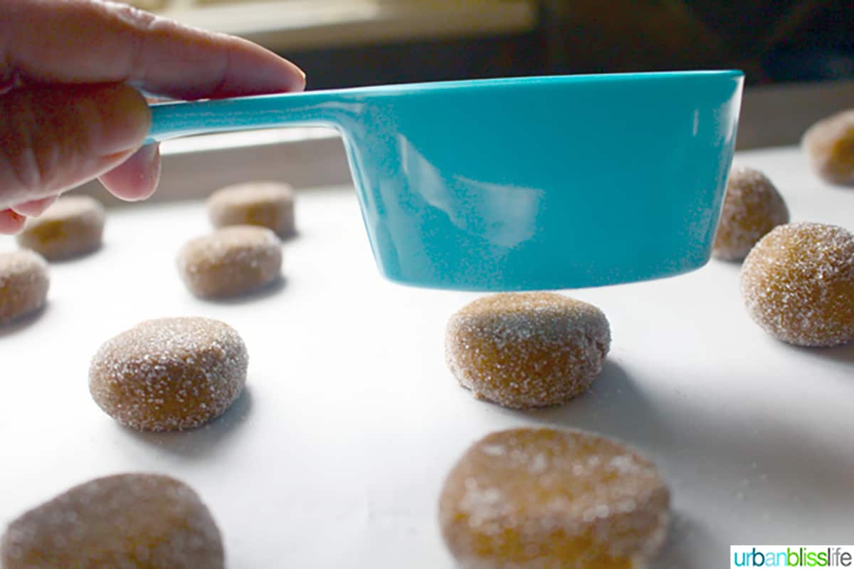 tapping down on ginger molasses cookies with measuring cup.