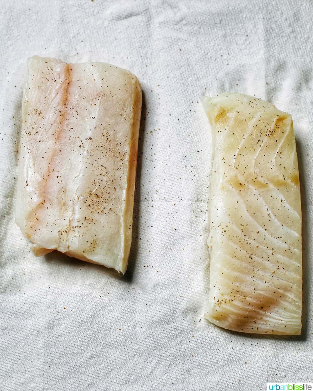 halibut
