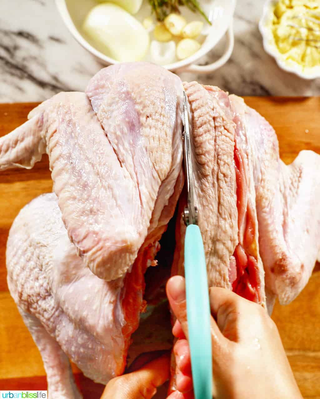 cutting out the backbone to spatchcock a turkey