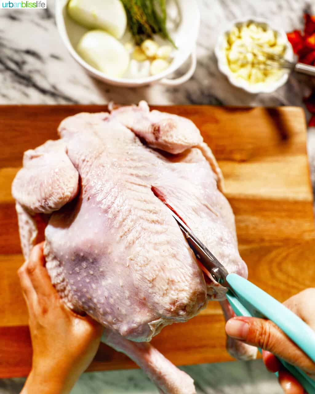 cutting out the backbone to spatchcock a turkey