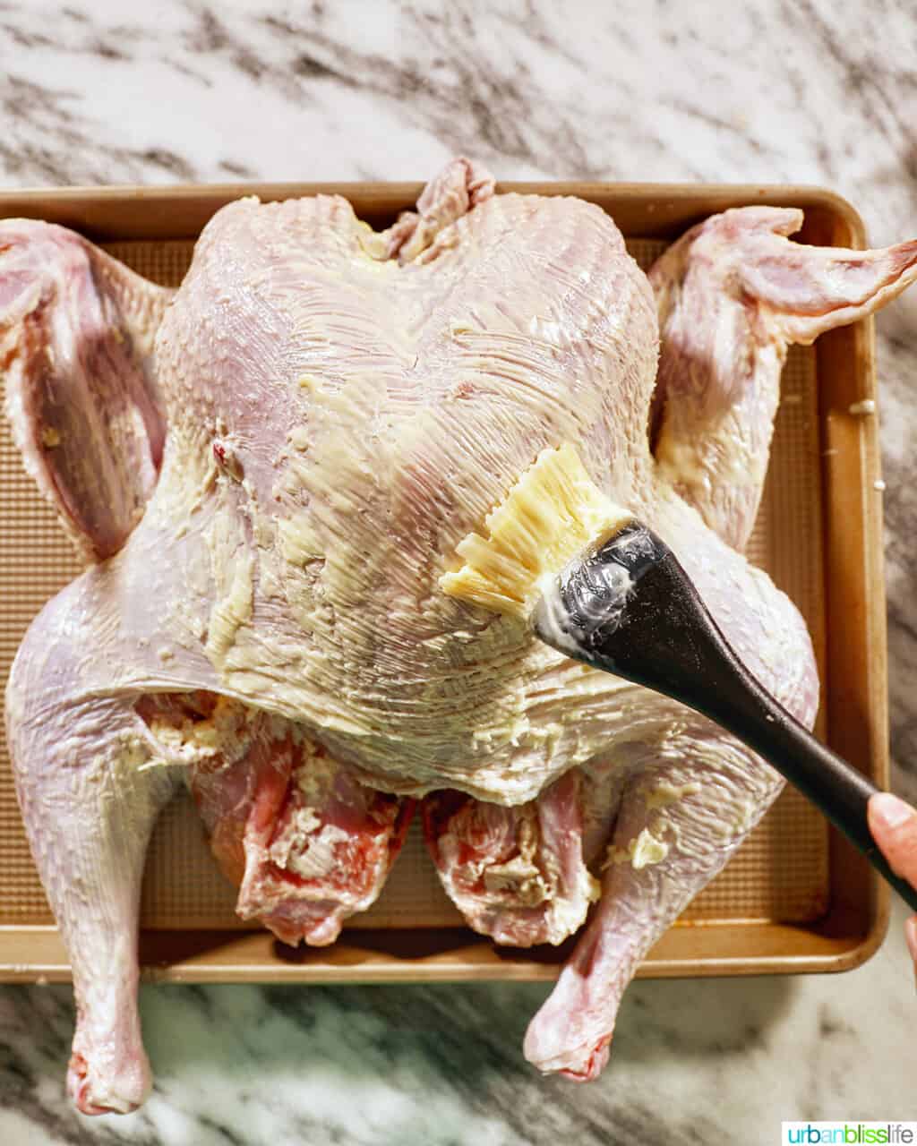 brush butter on turkey