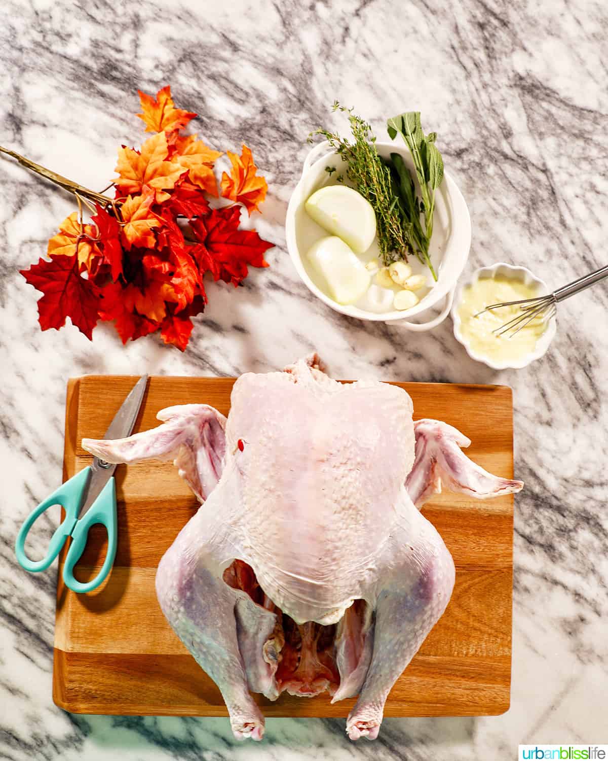 preparing to spatchcock a turkey with kitchen shears on a cutting board.
