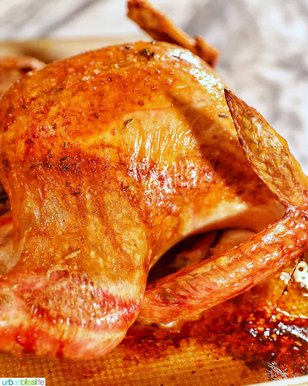 roast turkey side