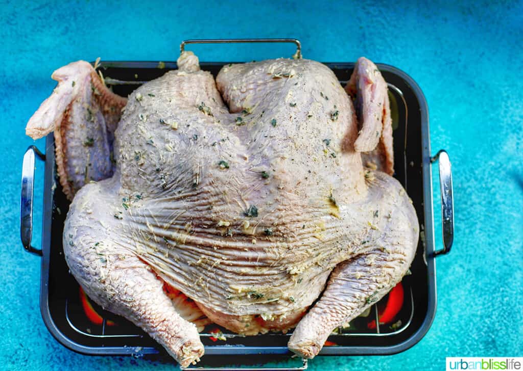 spatchcock turkey on roasting pan with vegetables