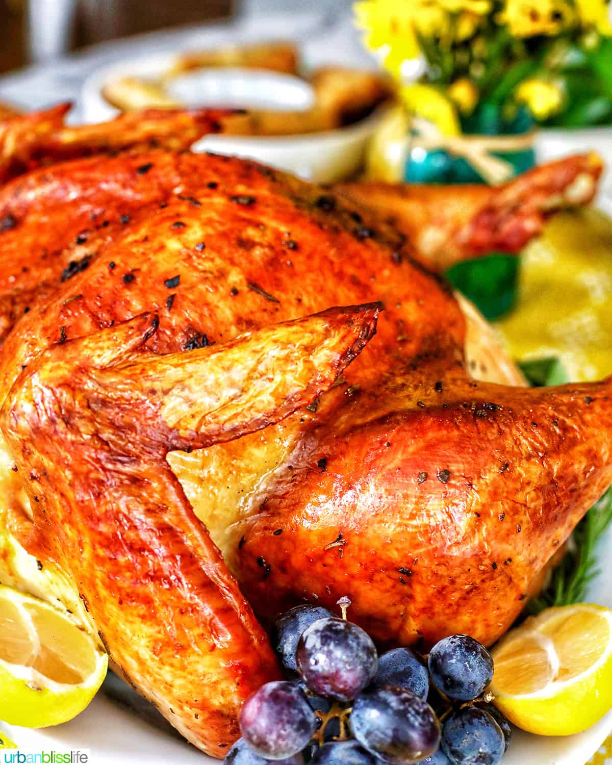 side of Thanksgiving turkey