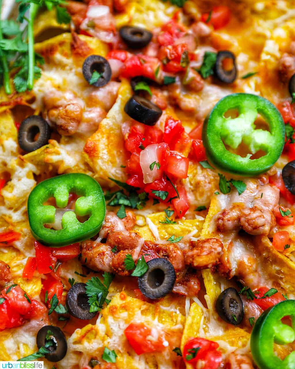 closeup of Sheet Pan Tex Mex Vegetarian Nachos