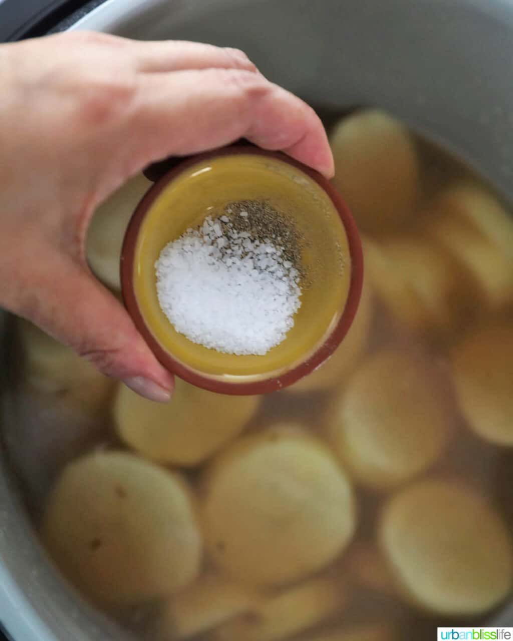 adding salt and pepper to ninja foodi potatoes