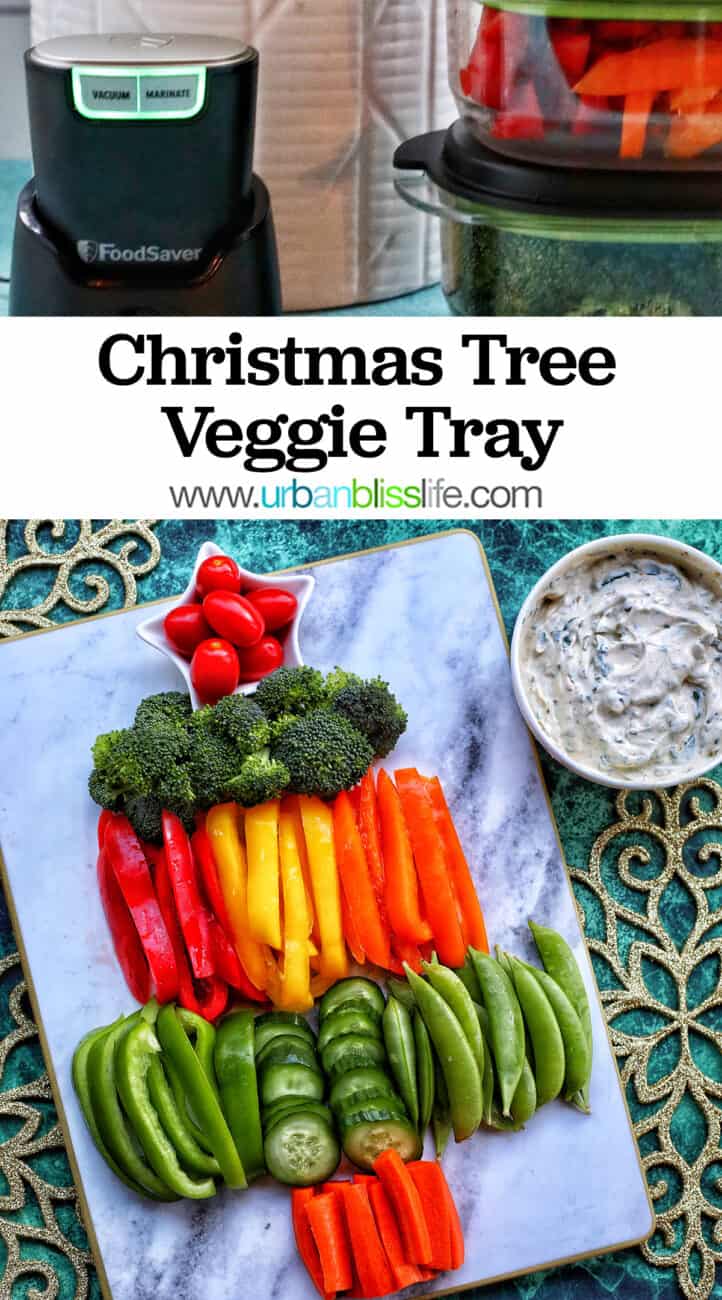 FoodSaver MultiUse HandHeld Vacuum Sealer and Christmas Tree Veggie Tray