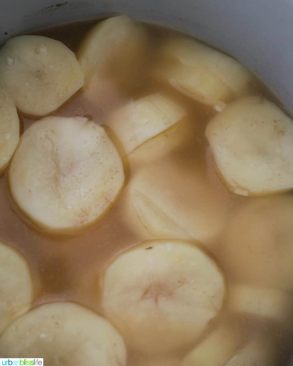 covering potatoes in the ninja foodi with broth