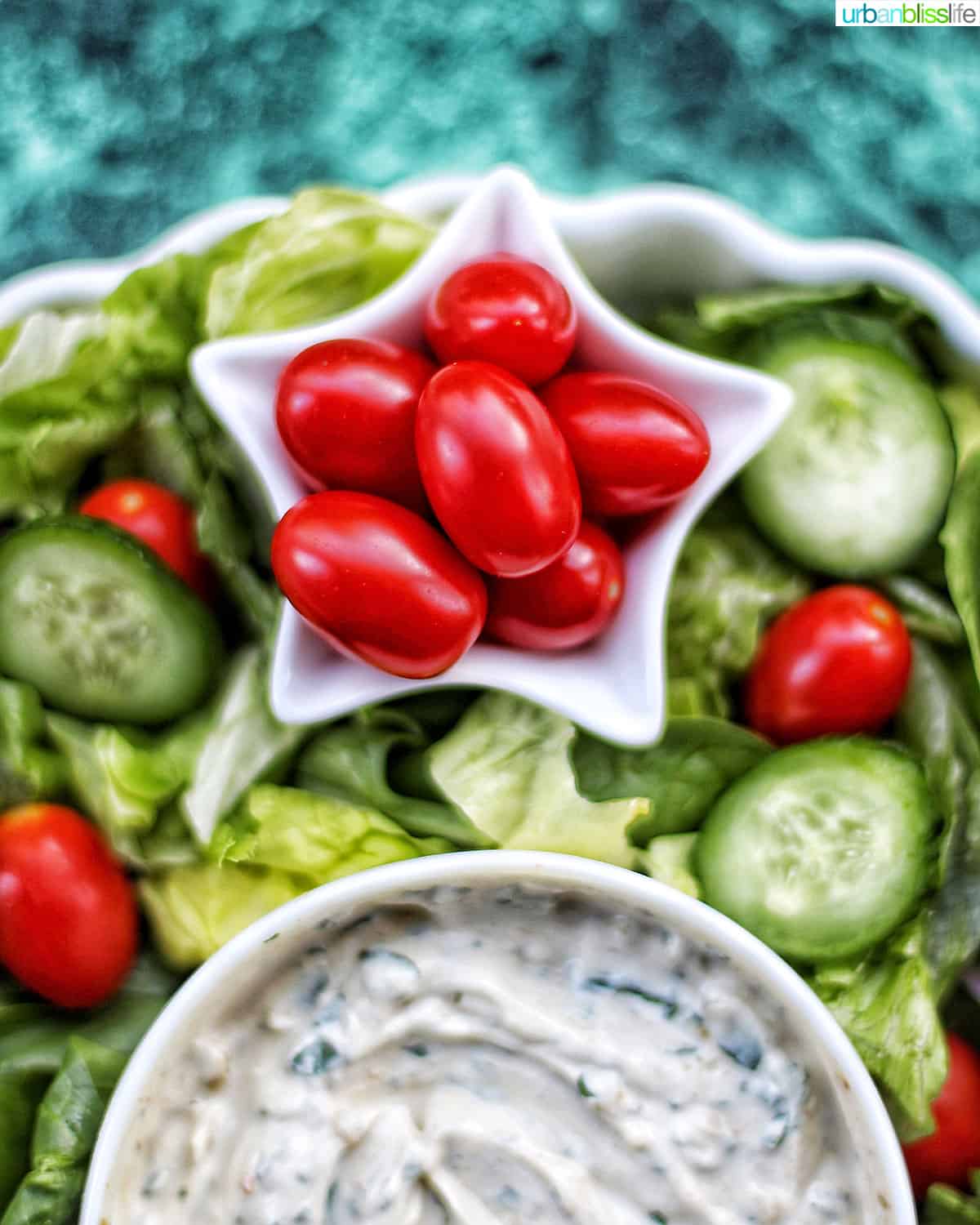 close-up of tomatoes at top of salad and dip.