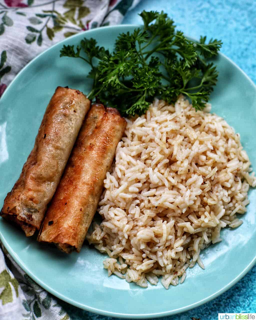 lumpia and garlic rice on a plate 