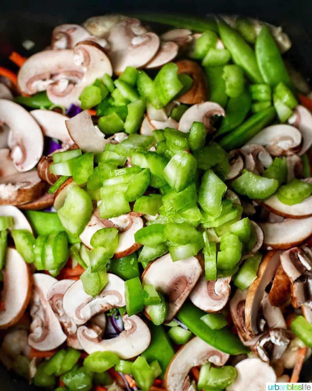 adding celery to adding shrimp to Filipino pancit canton noodles