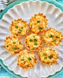 buffalo chicken bites feature