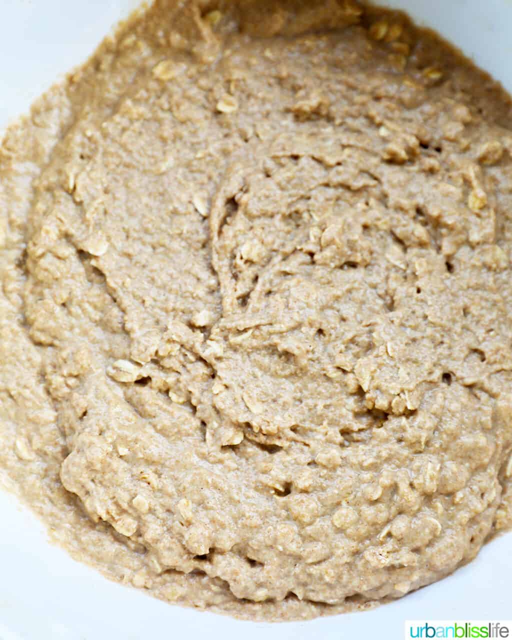 Guinness brown bread batter in a bowl