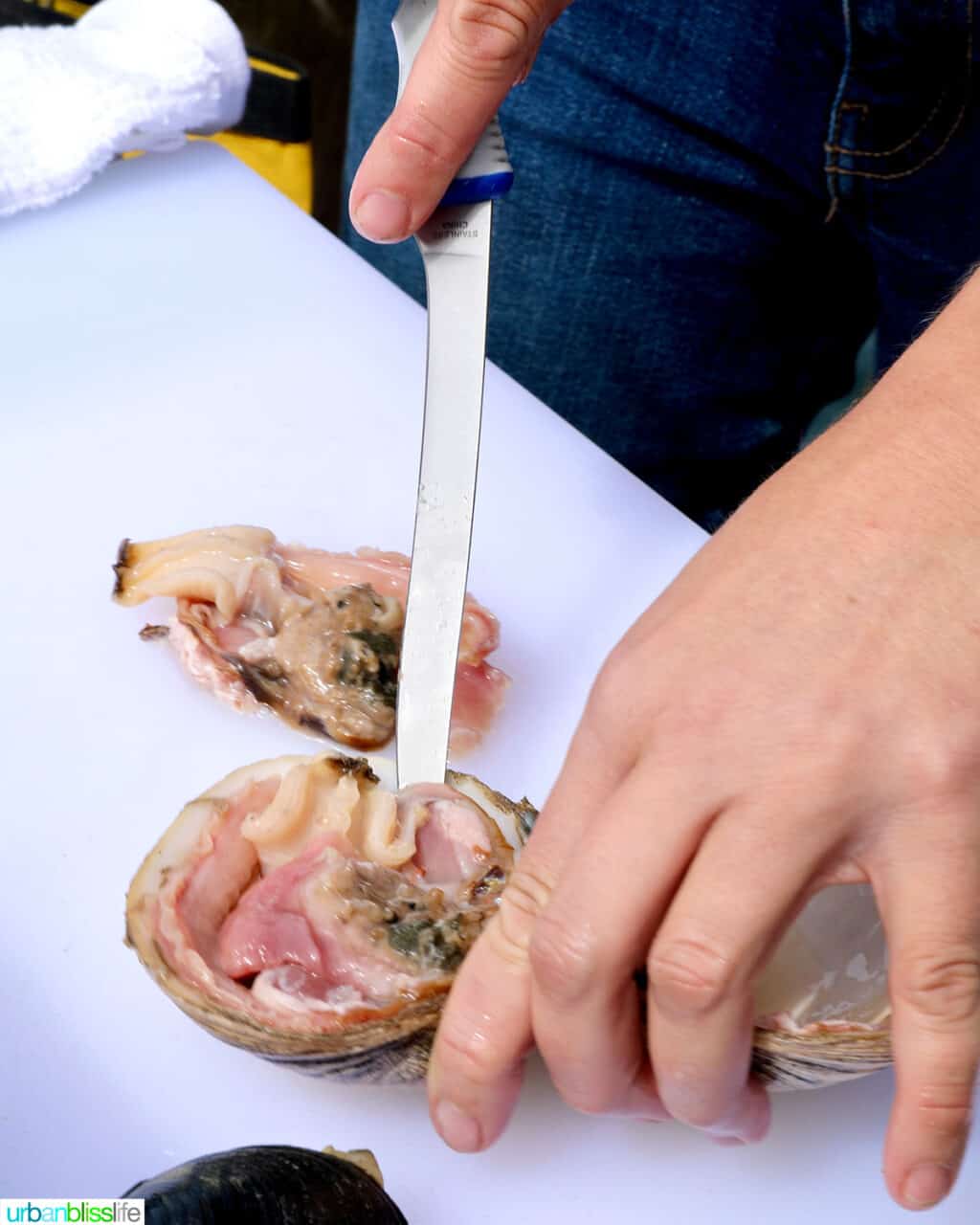 boning knife