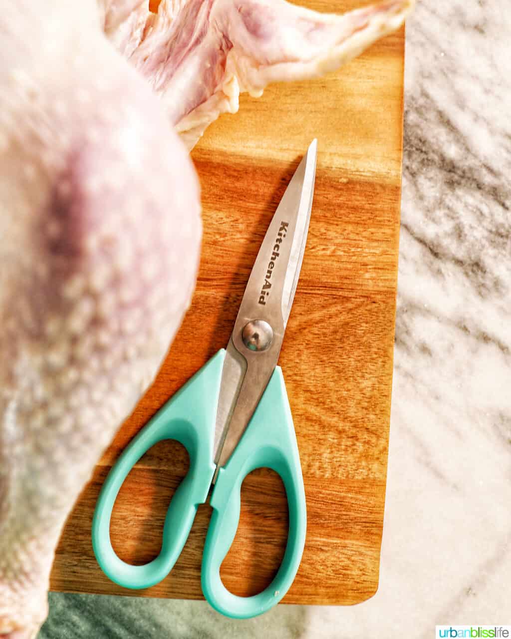 kitchen shears with a chicken