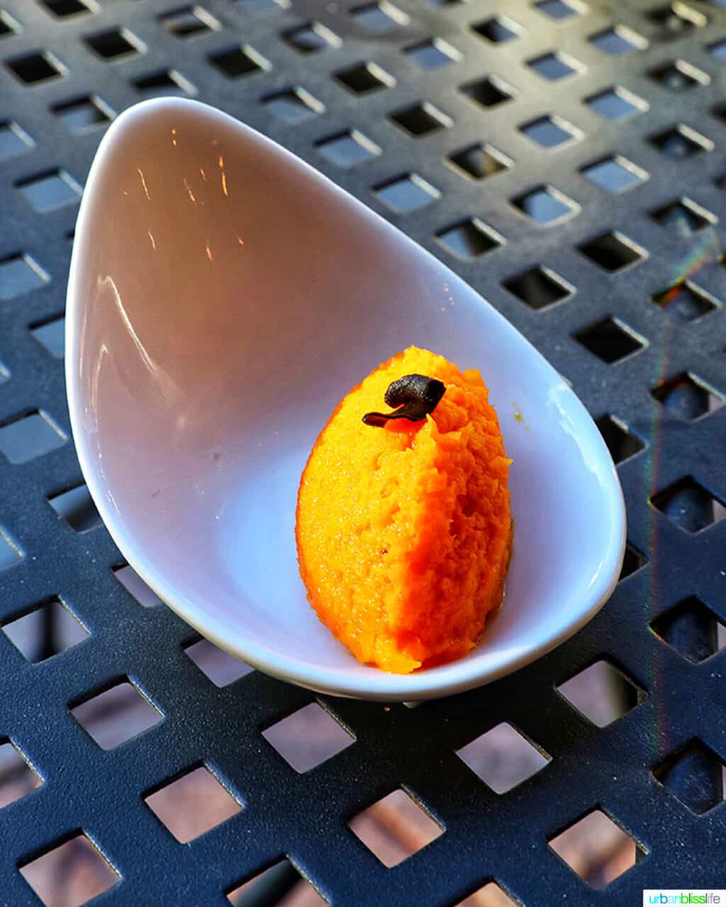 carrot puree at Joel Palmer House
