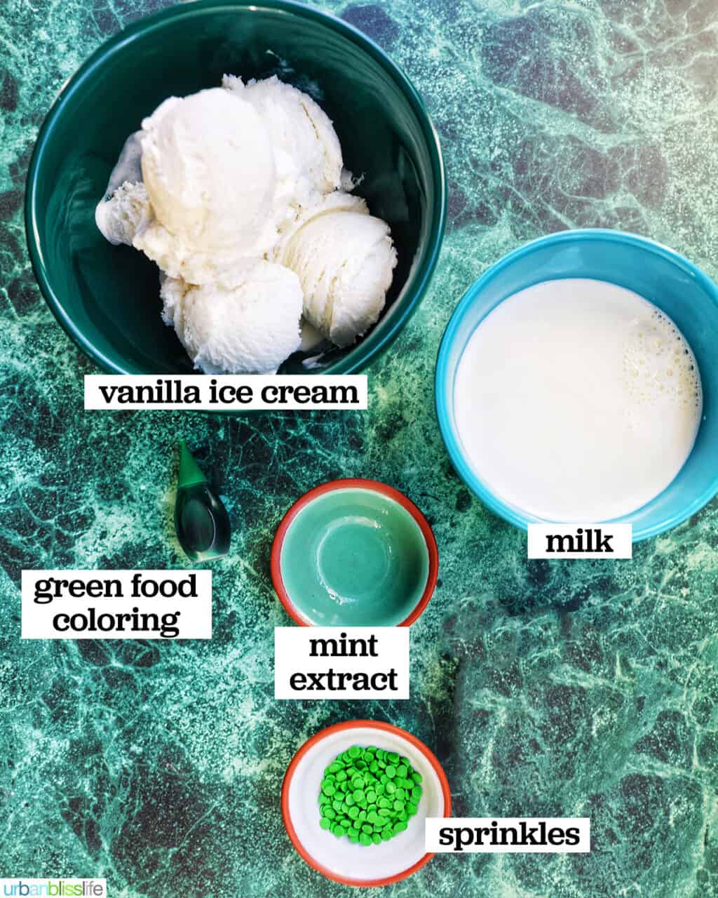 ingredients to make Shamrock Shake recipe