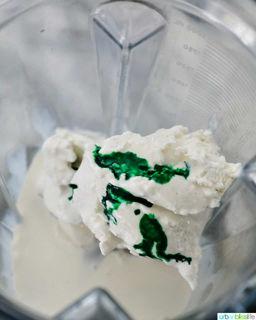 ingredients for shamrock shake in blender