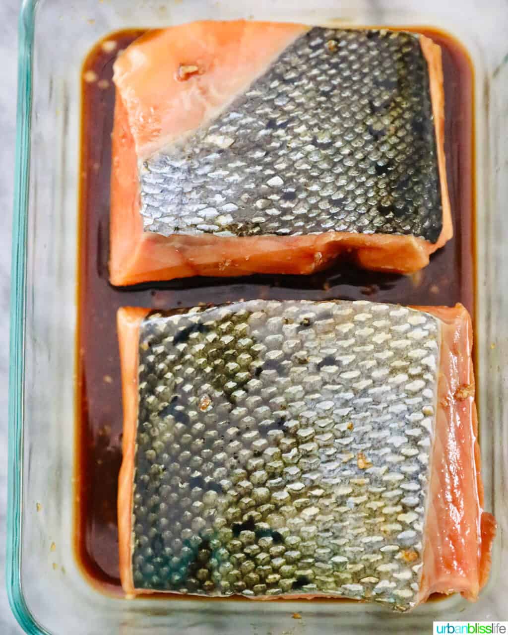 skin side up salmon fillets