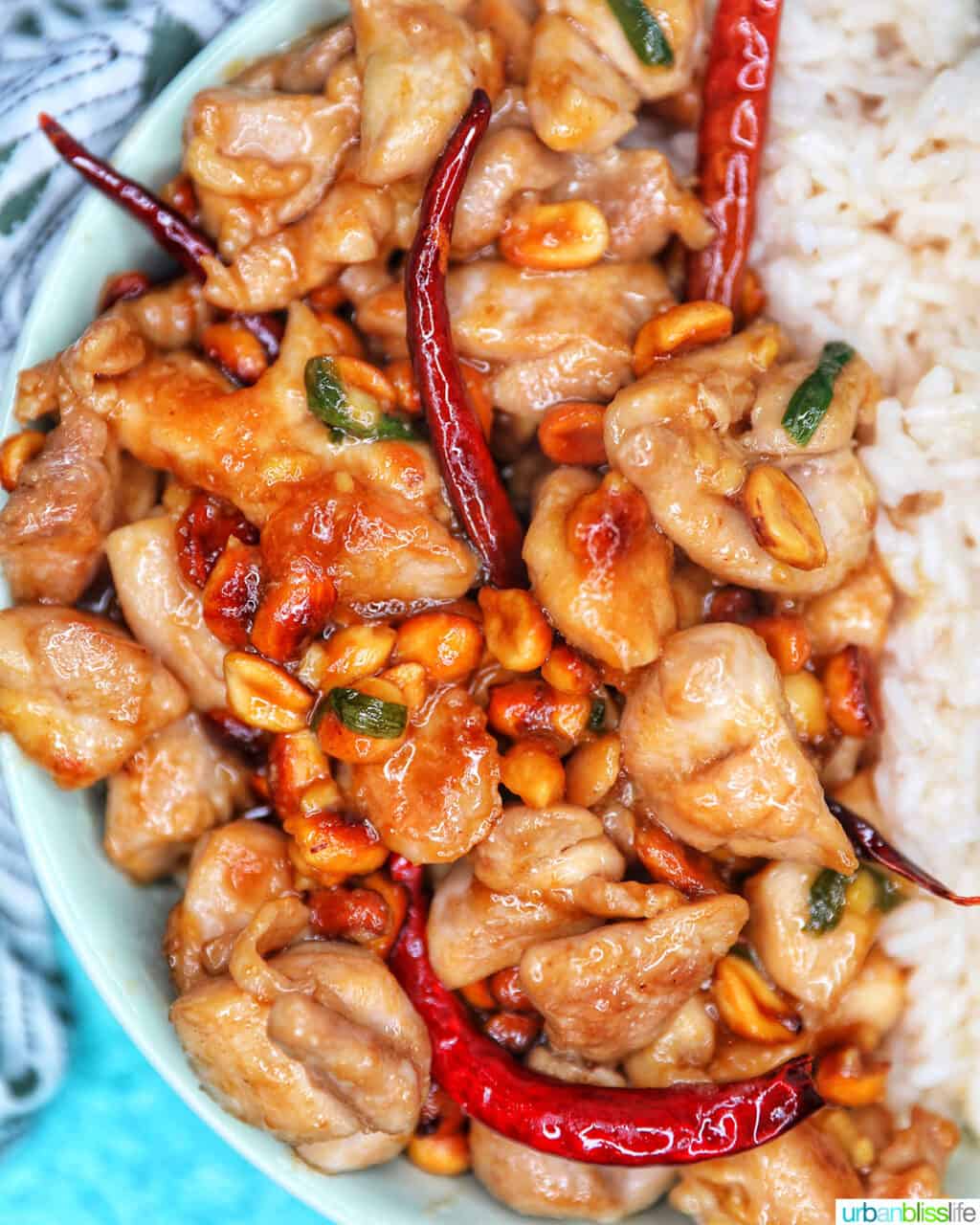 closeup side of Kung Pao Chicken with rice
